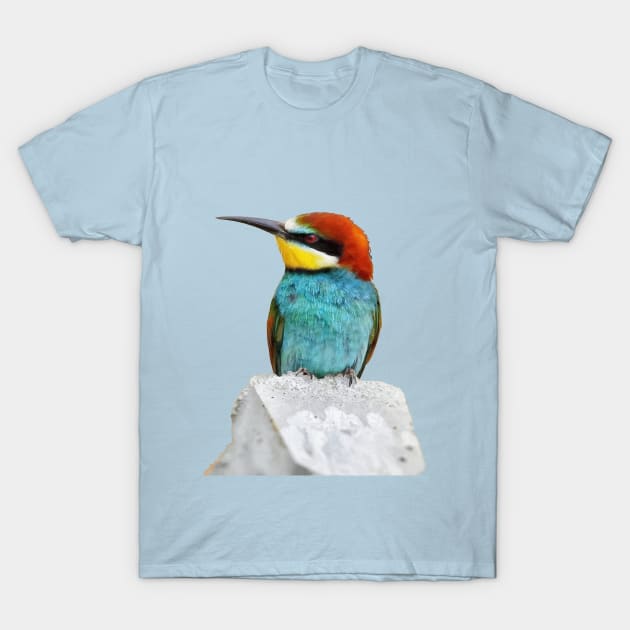 Brightly Colored European Bee Eater Vector Art T-Shirt by taiche